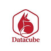 Datacube Logo